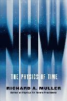 bokomslag Now: The Physics of Time