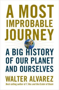 bokomslag A Most Improbable Journey: A Big History of Our Planet and Ourselves