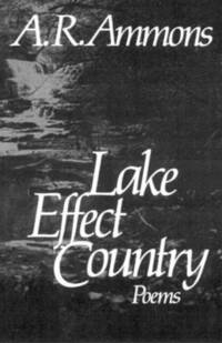 bokomslag Lake Effect Country