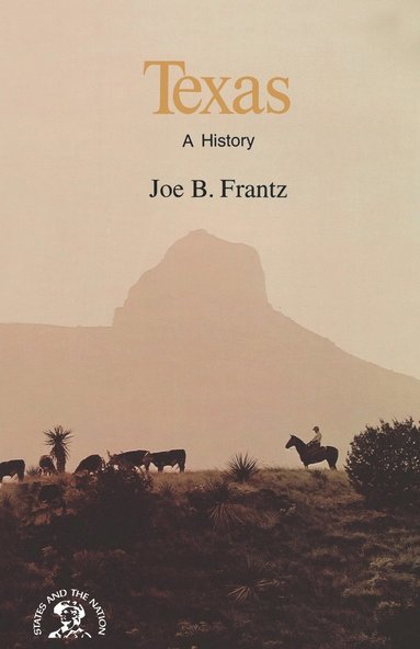 bokomslag Texas: A History