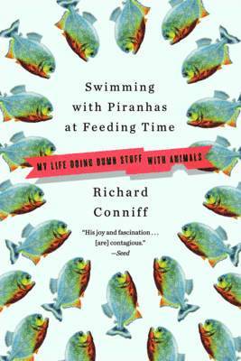 Swimming with Piranhas at Feeding Time 1