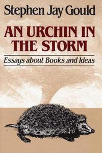 bokomslag An Urchin in the Storm