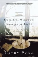 bokomslag Frameless Windows, Squares of Light