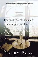 Frameless Windows, Squares of Light