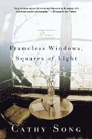 Frameless Windows Squares of Light 1