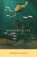 bokomslag Wonderful Life: The Burgess Shale and the Nature of History