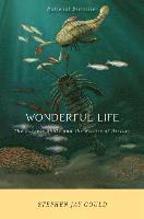 Wonderful Life