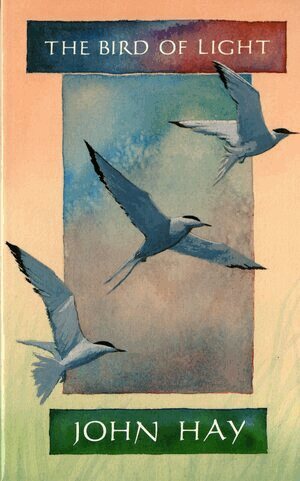 John Hay - Bird of Light, Häftad