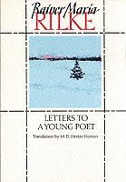 bokomslag Letters to a Young Poet