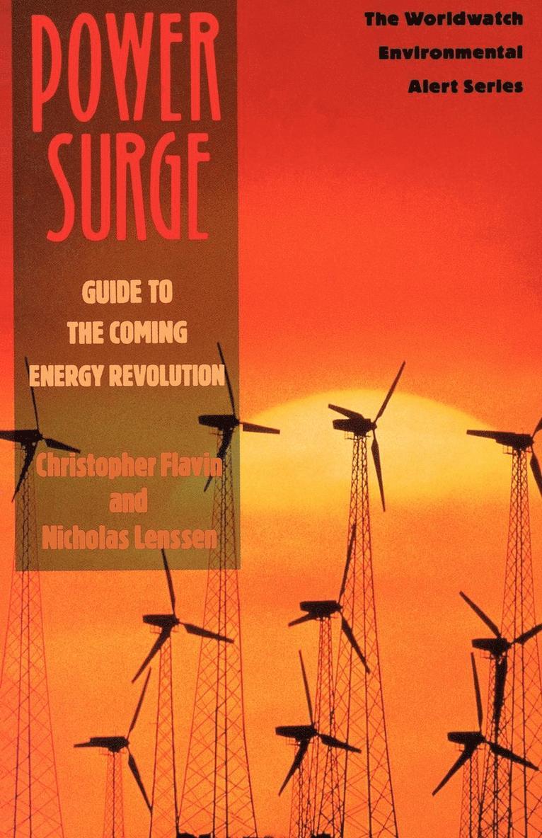 Power Surge : Guide to the Coming Energy Revolution 1