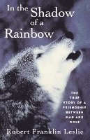 bokomslag In the Shadow of a Rainbow