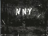 bokomslag Naked New York