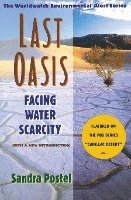 Sandra Postel, Linda Starke - Last Oasis, Häftad