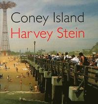 bokomslag Coney Island