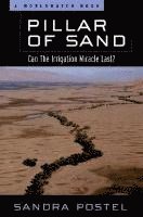 bokomslag Pillar Of Sand