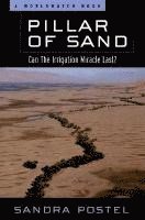 bokomslag Pillar of Sand