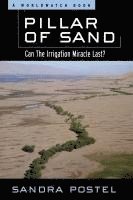 bokomslag Pillar of Sand