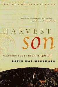bokomslag Harvest Son