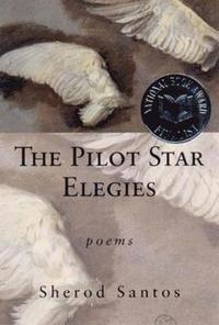 bokomslag The Pilot Star Elegies