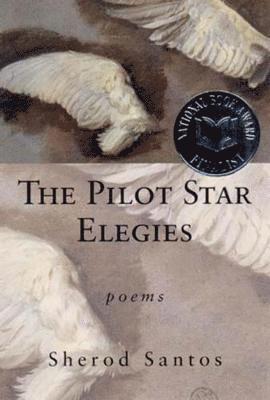 The Pilot Star Elegies 1