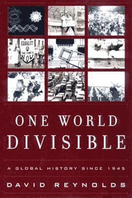 David Reynolds - One World Divisible, Häftad