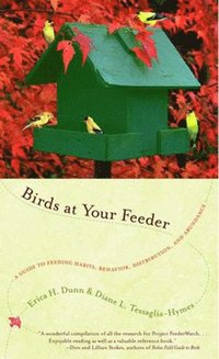 bokomslag Birds at Your Feeder