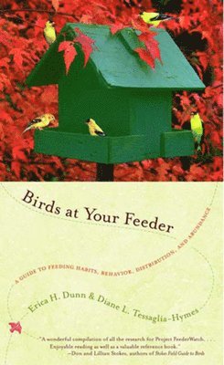 Birds at Your Feeder 1