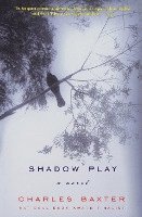 bokomslag Shadowplay - A Novel