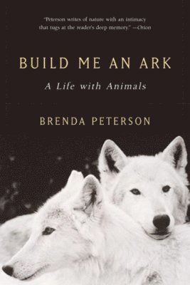 Brenda Peterson - Build Me an Ark, Häftad