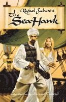 Sea-Hawk 1