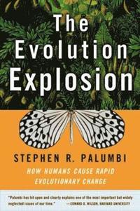 bokomslag The Evolution Explosion