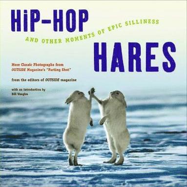 bokomslag Hip-Hop Hares