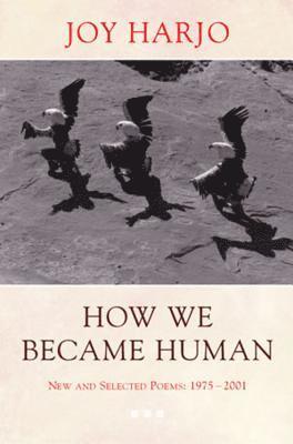 bokomslag How We Became Human