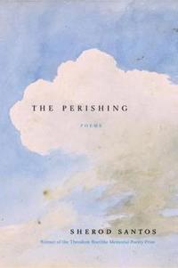 bokomslag The Perishing