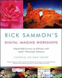 bokomslag Rick Sammon's Digital Imaging Workshops