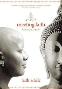 bokomslag Meeting Faith
