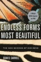 Sean B. Carroll - Endless Forms Most Beautiful, Häftad
