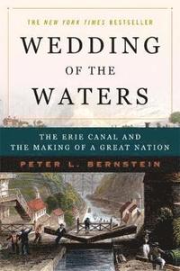 bokomslag Wedding of the Waters