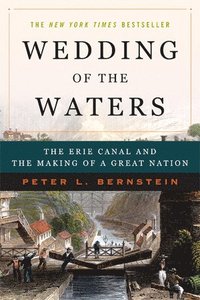 bokomslag Wedding of the Waters