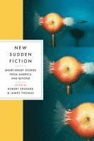 Robert Shapard, James Thomas - New Sudden Fiction, Häftad