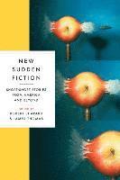 bokomslag New Sudden Fiction