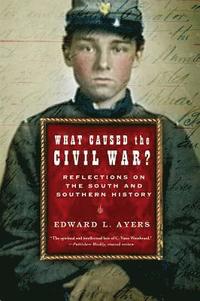 bokomslag What Caused the Civil War?