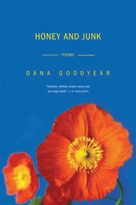Dana Goodyear - Honey and Junk, Häftad