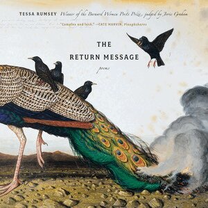 Tessa Rumsey - Return Message, Häftad
