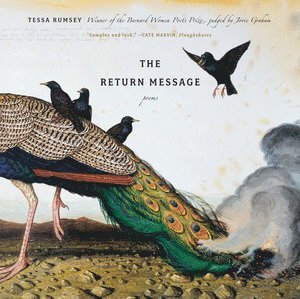 Tessa Rumsey - Return Message, Häftad