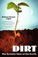 bokomslag Dirt