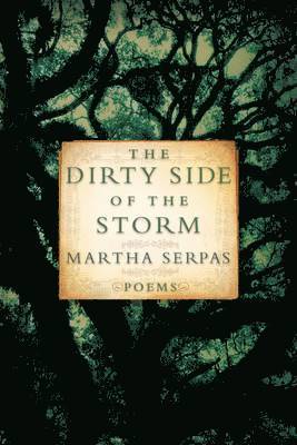 The Dirty Side of the Storm 1