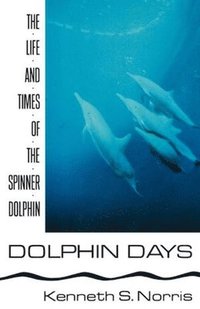 bokomslag Dolphin Days