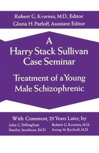 bokomslag A Harry Stack Sullivan Case Seminar