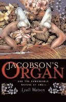 bokomslag Jacobson's Organ: And the Remarkable Nature of Smell